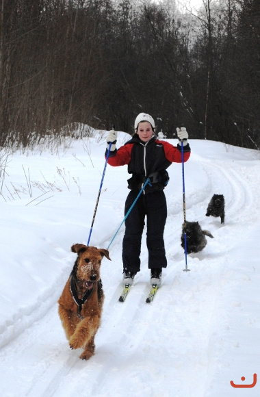 Ada skiing with the dogs.
